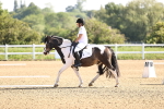 SBM_007443