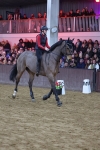SBM_003371