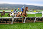 151125-Race 1-One Horse Town-2056