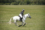 BVHT 140517  NXC -271