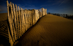 Camber Sands