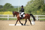 SBM_008955