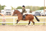 SBM_16502