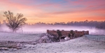 Goldings Winter Sunrise: 310E