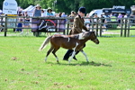 SBM_03592