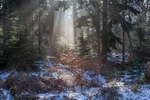 Winter Sunrise