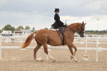SBM_06414