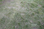 PtP 290123 0889