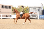SBM_07445