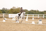 SBM_002115