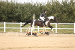 SBM_000330