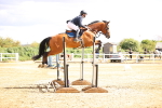 SBM_003851
