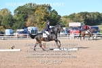 BPP_8587