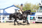 SBM_12289