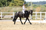 SBM_003425