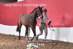 BPP_1446