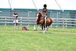 SBM_15295
