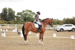 SBM_008623