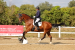SBM_007501