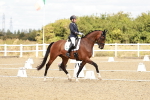 SBM_009557