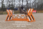BPP_4683