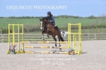 BPP_1435