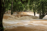 Tad Sae waterfall, Laos