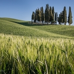 Landscape-060