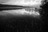 Coniston 04