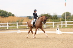SBM_001376