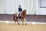SBM_001009