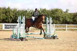 SBM_006272