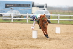 SBM_004309