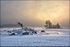 Winter on Rannoch