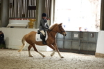 AJG_3538