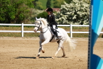 SBM_007147