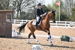 Cls 11 BD Young Horse 7YO portfolio