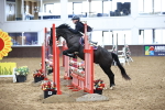 SBM_001013