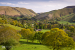 Late Spring, Upper Dyfi valley