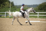 SBM_009586