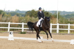 SBM_000595