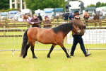 SBM_00254