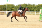 SBM_007208