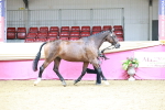 SBM_06623