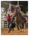 Rodeo Portfolio - Misc 03