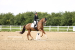 SBM_002871