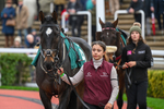 151125-Race 2-Ballycamus-2619