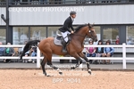 BPP_9041