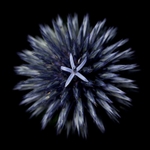 Thistle Floret