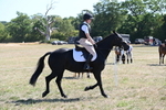 WJ6_8320